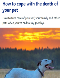 Help coping with pet loss